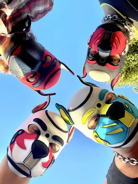 *tilts heads* we heard you have treats. 🐺👀 by HEXicorn