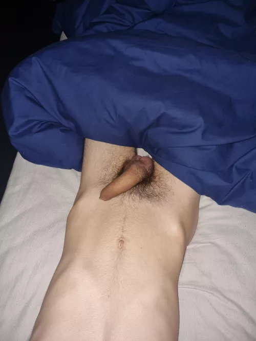 Time for bed by hourhamster02