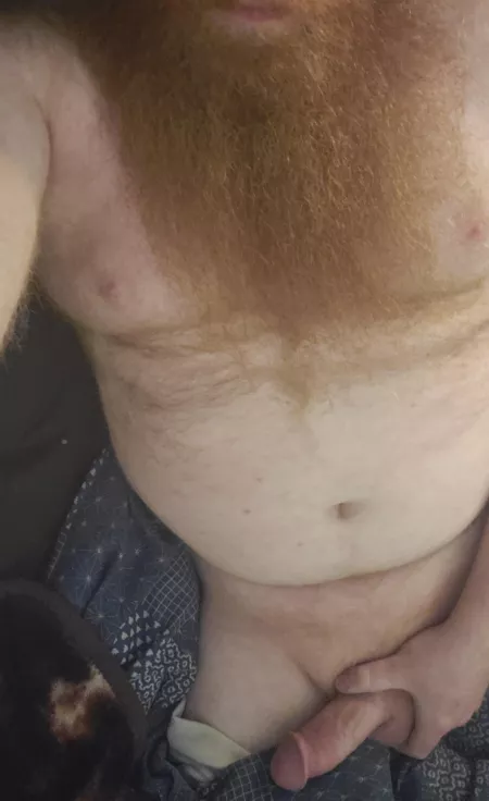 Time for bed? by Harkspeare_