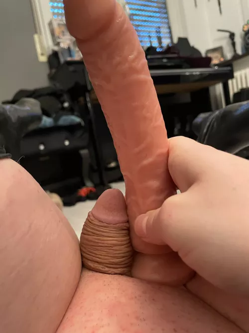 Time for my cage by Sissyslut505