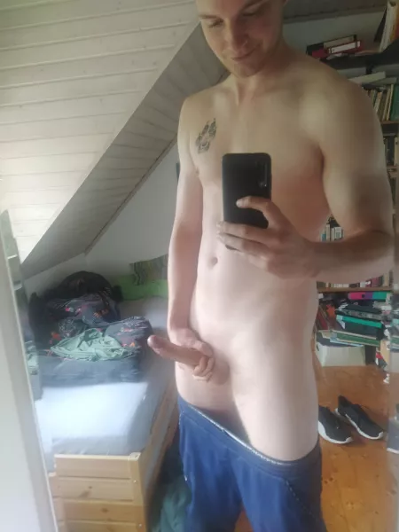 Time for you to get on your knees! by Albinoalpaka1