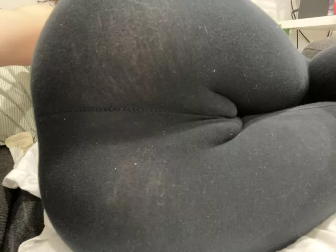 Time to eat🐶 by 222Fae_Soul