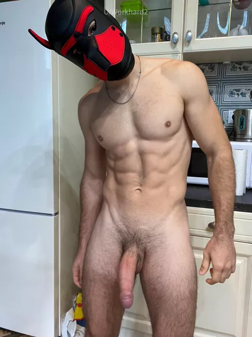 Time to play ?! 😁😈 by WorkHard2