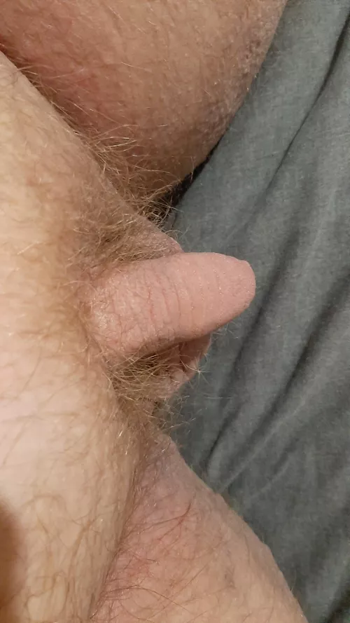 Time to shave? [31] by Tinytool_4u