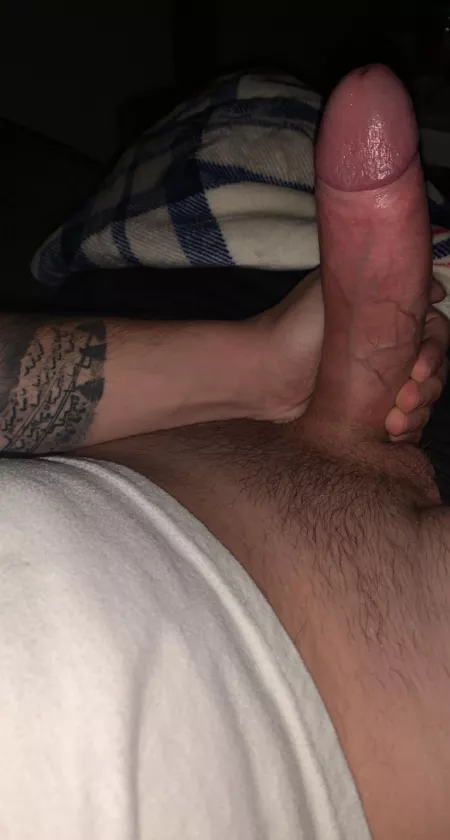 Time to test how much fat uncut cock your holes can handle by [deleted]