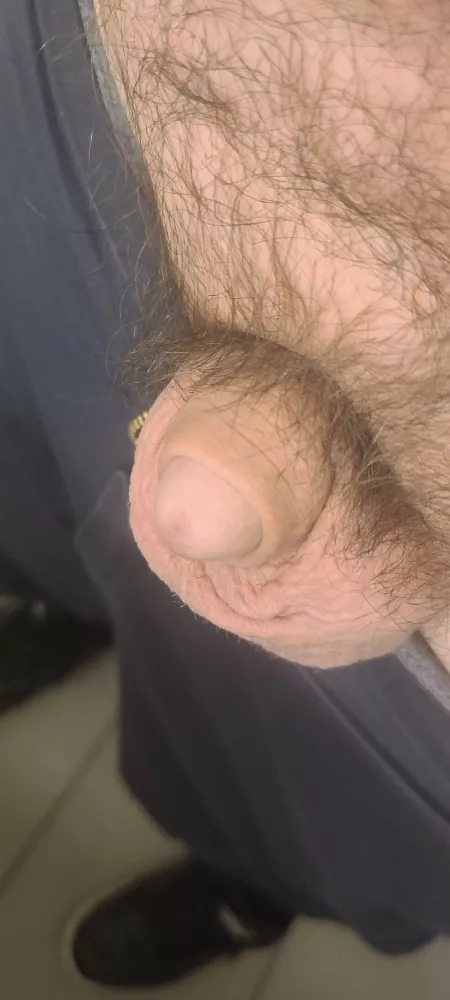 Tiny [38] by Intrepid-Job-7874