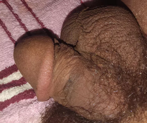 Tiny and cute, yummy too [24] by S_H_0218