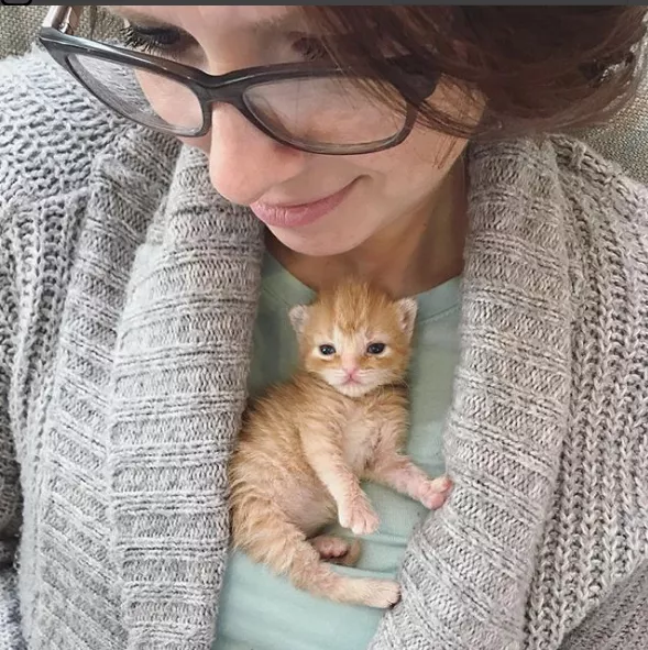 Tiny braww posted by RalphiesBoogers