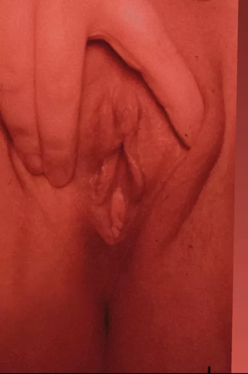 Tiny PAWG pussy by stopdicks