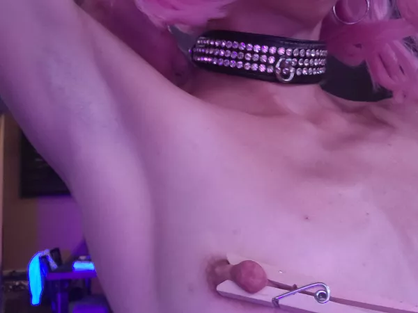 Tiny titty, big nipples by mycelium_mother_