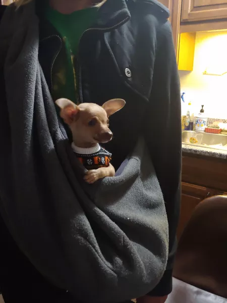 Tito vodka sweater... Why yes by BearCatcher23