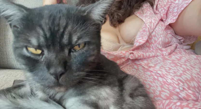 Tits and 😺 by AdmireMeAmy