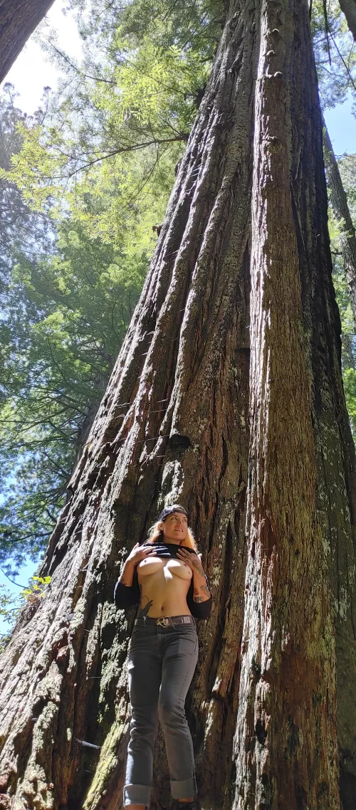 Tits out in the trees by titania_orion