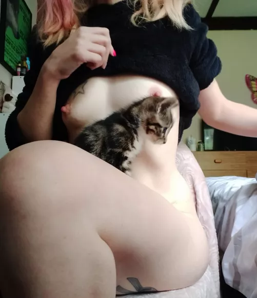 Titties and a kitten 😊 by jesswestcoast