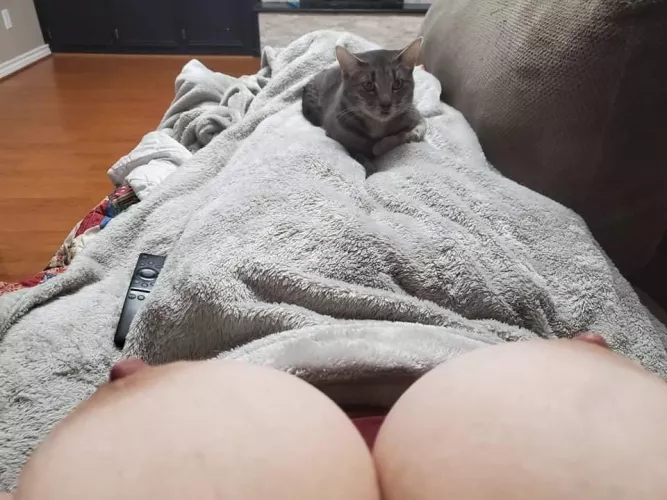 Titties and kitty by woodlands_cpl