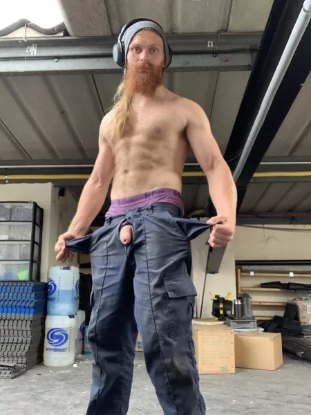 Today a pocket eared elephant emerged from hiding, help me catch it by Bruce494