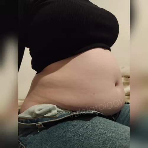 Todays McDonald's stuffing! by little_fatpiggy