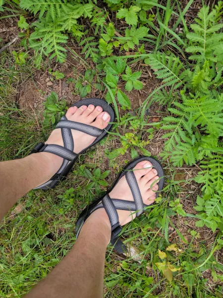 Today's walk ended in a small rain shower, it smells so good outside by asrithmium