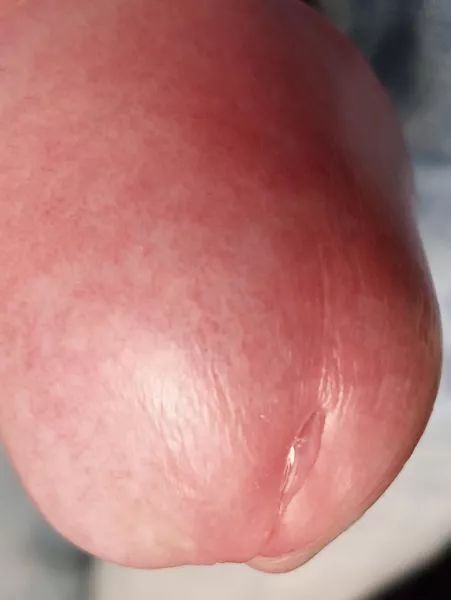 Too close? by faunishorny