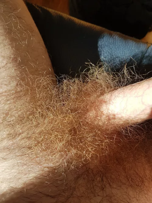 Too much for you? by Hairieh