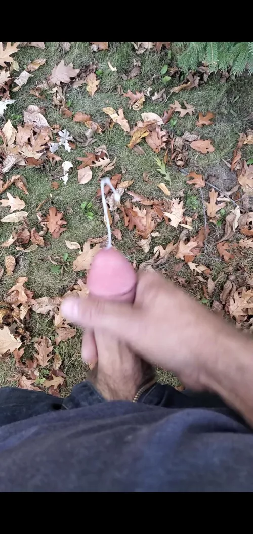 Took a break during a walk in the woods by markmcgee87