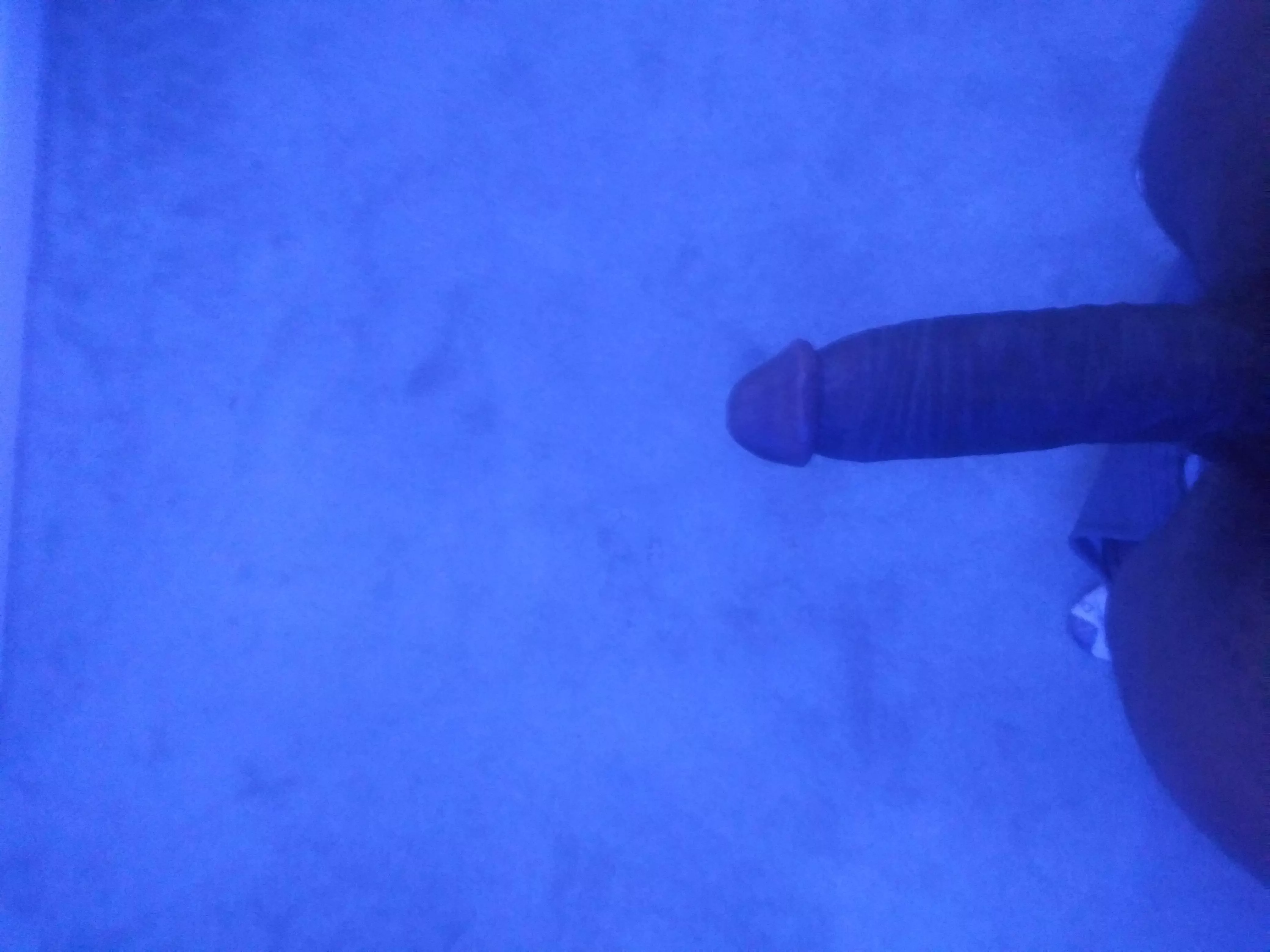 Top of the morning 😎 posted by THEREAL-HNIC444