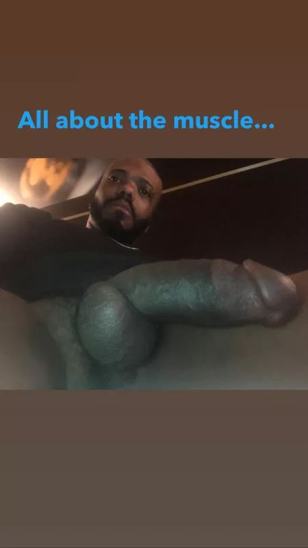 TOPKing by GlitteringAlfalfa635