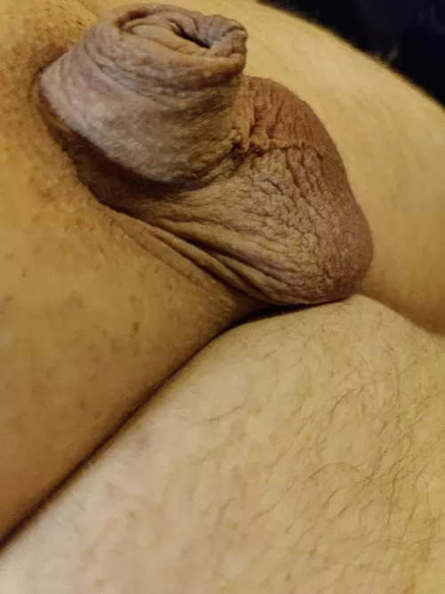 Totally soft. So small. DMs and Chat welcome. (36) by Akent_T