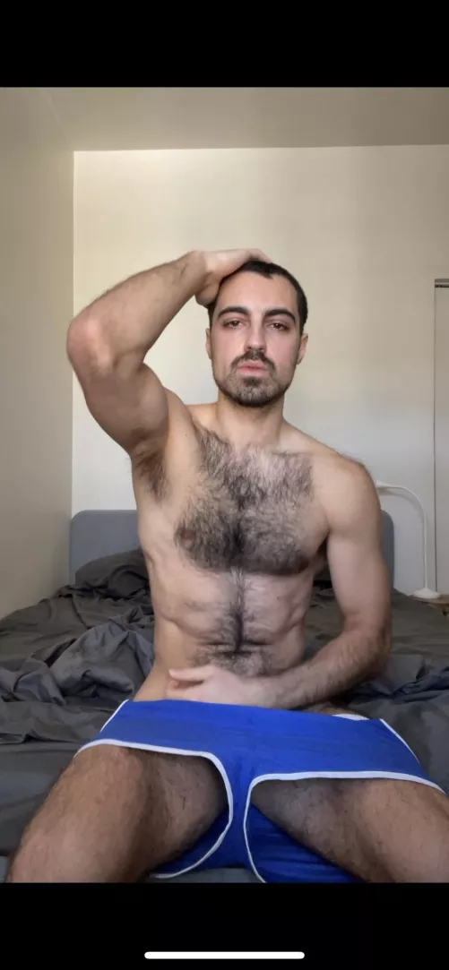 Touch the rug? by sketchybusters