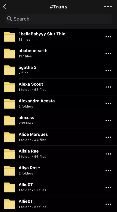 TRANS FOLDER WITH OTHER 370 TGIRLS FOR ONLY $10 DM FOR CASHAPP ❗️ by Ordinary_King_2429