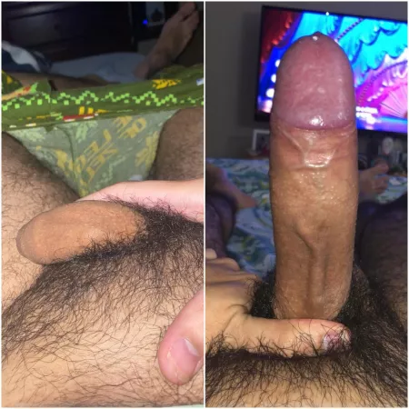 Transformation Wednesday! by Indie_Cavape