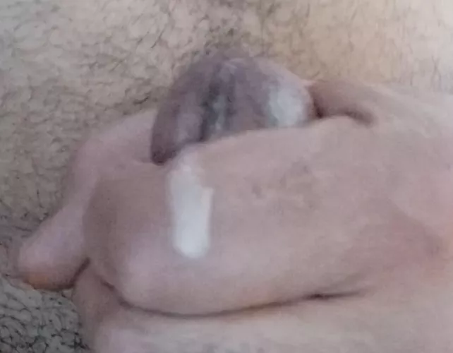 Trap ready by 1weekof4