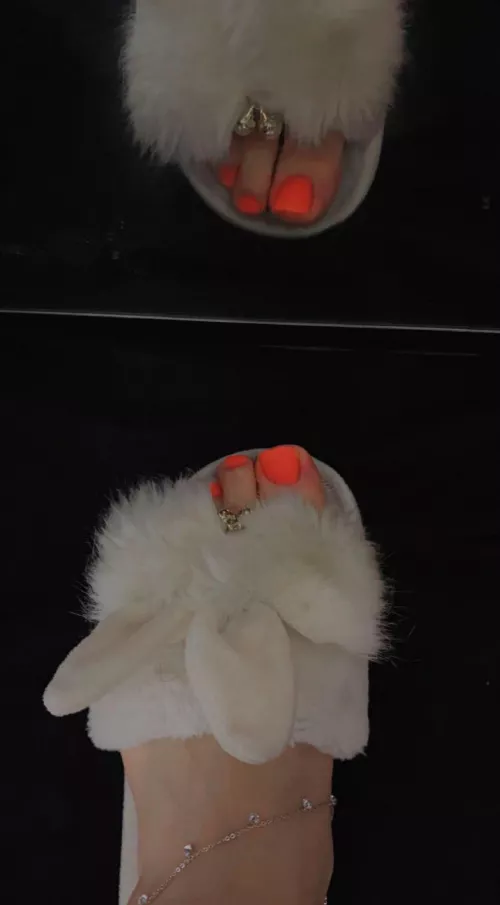 Treat my feet as a queen 🧚🏻‍♀️💅🏻 by Brief-Imagination-70