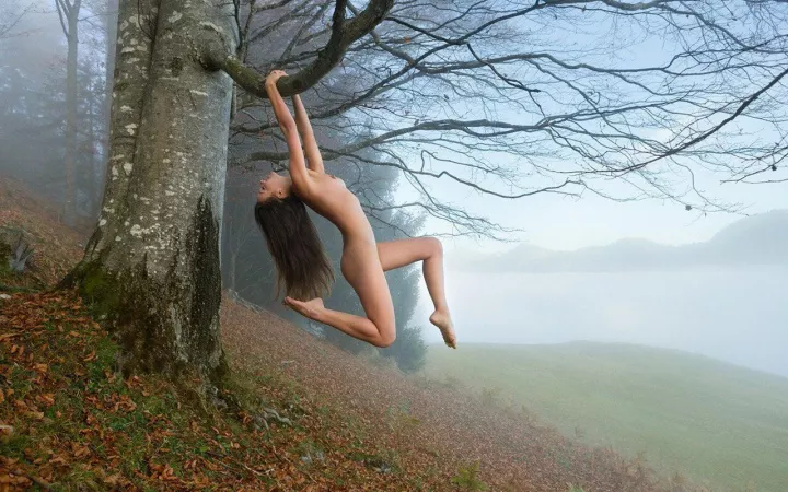 Tree Swing by Just-F_in-Do-It