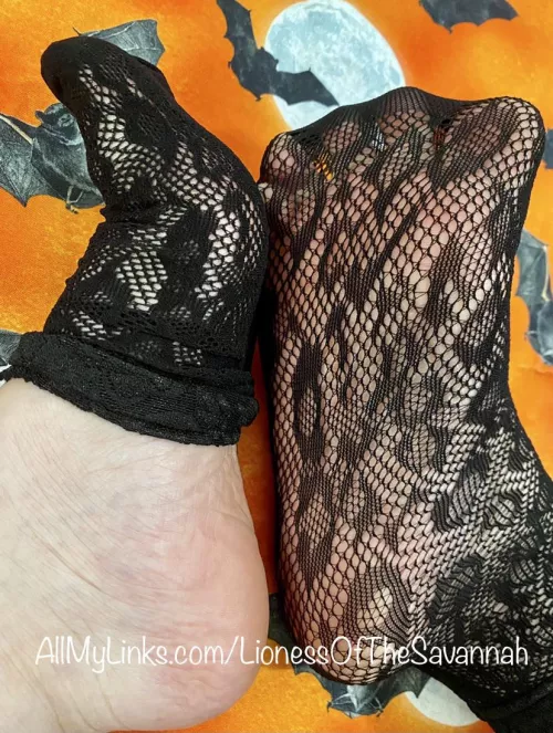 Trick or Treat! 🎃 Fishnet Feet! 🦇👻 …it’s also my birthday today! 🥳 by Savannahs_Feet