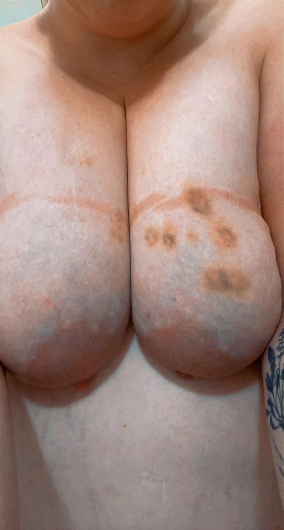 Tried a new type of bondage on them today. Any guesses what it was? posted by g22p