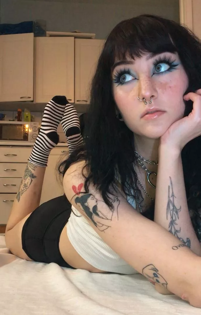 Tried to look innocent posted by sipetinh