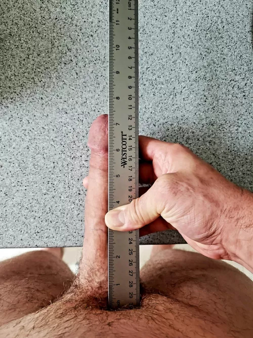 Try this on for size! 🤣😅 7.25ish x 5.5 by Visibletactics