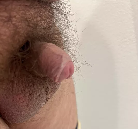 Trying ‘harder’… Any help appreciated! (21) DMs Open by USALegalAlien