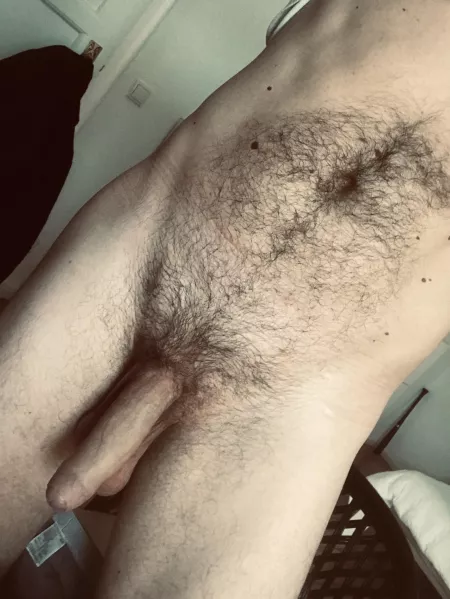 Trying here instead. What do you think? by forrequests21