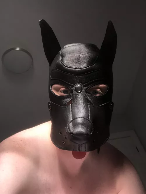 Trying on my new pup hood (33) by uncutpup11