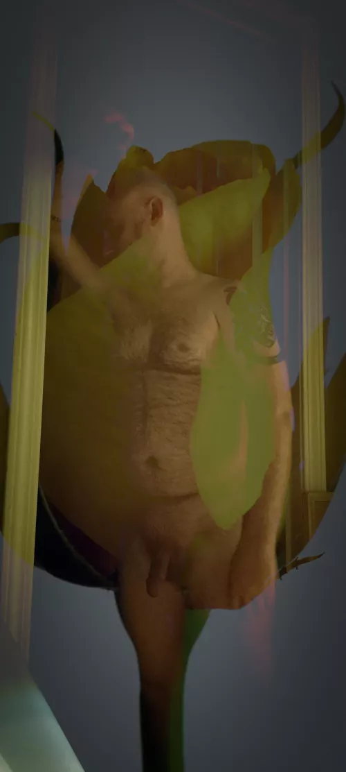 Trying out some artistic photography. (38m) by Happily_bonded