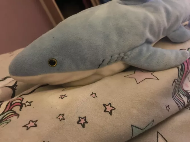 Trying to comfort myself with this guy by i-ate-the-ether