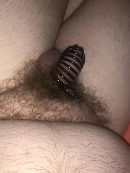 Trying to get used to having the cage on for longer periods of time 🐽 by New_pig_on_the_block