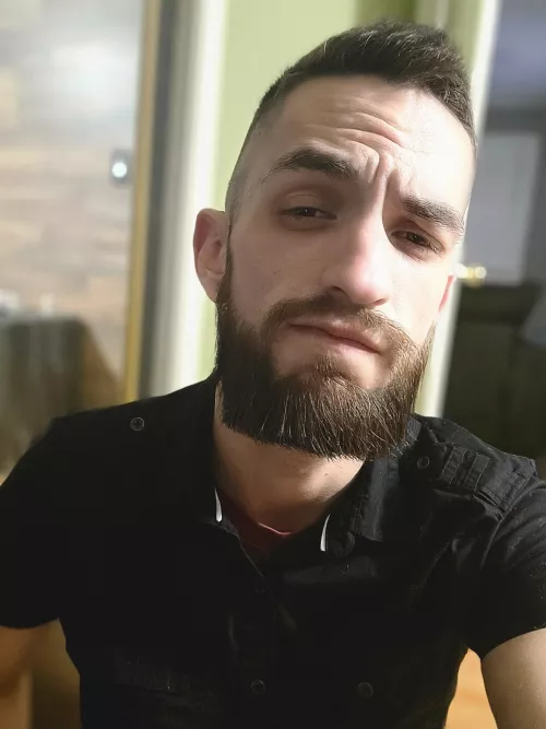 Trying to grow out the beard 😬 by flzan