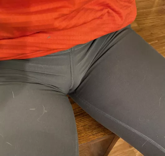 Trying to hide... It is shy by Curious_Contact2002