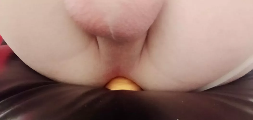 Trying to see how long I can hold medium nocturne Knott in whilst gaming hehe. by jolyfulobjectpanda