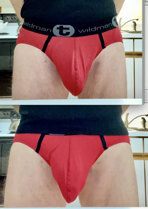 Tucked Or Untucked? WildmanT Big Boy Pouch Briefs by shyishguyish