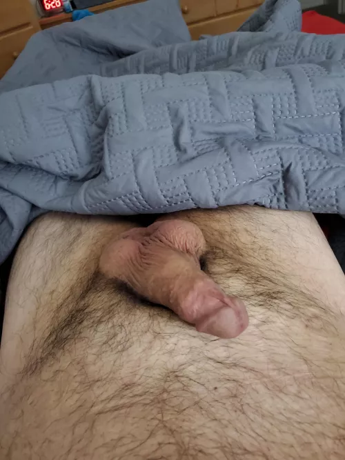 Tuesday morning wood. Have a good day!!! by Texcub416