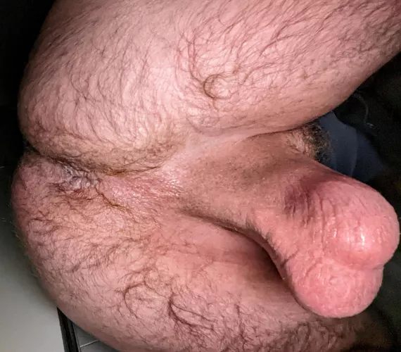 Tug on my nuts for your prize by bigdongl3